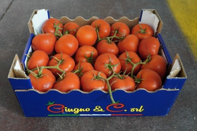 Foto Pomodoro Grappolo Origine Italia Marchio Giugno & Co 1